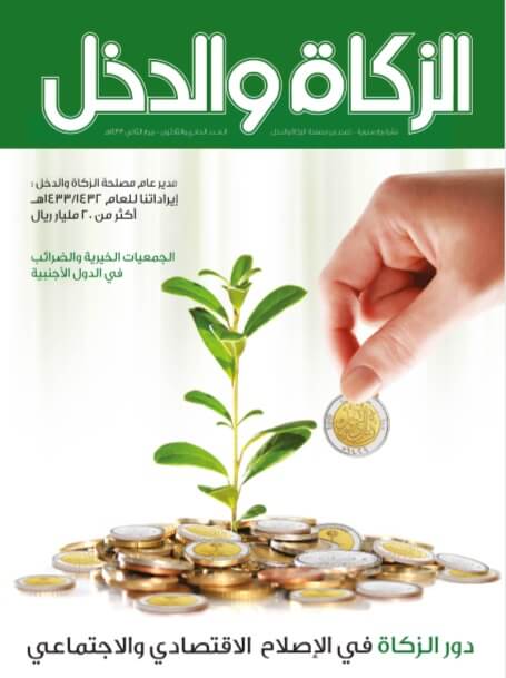 Issue 31